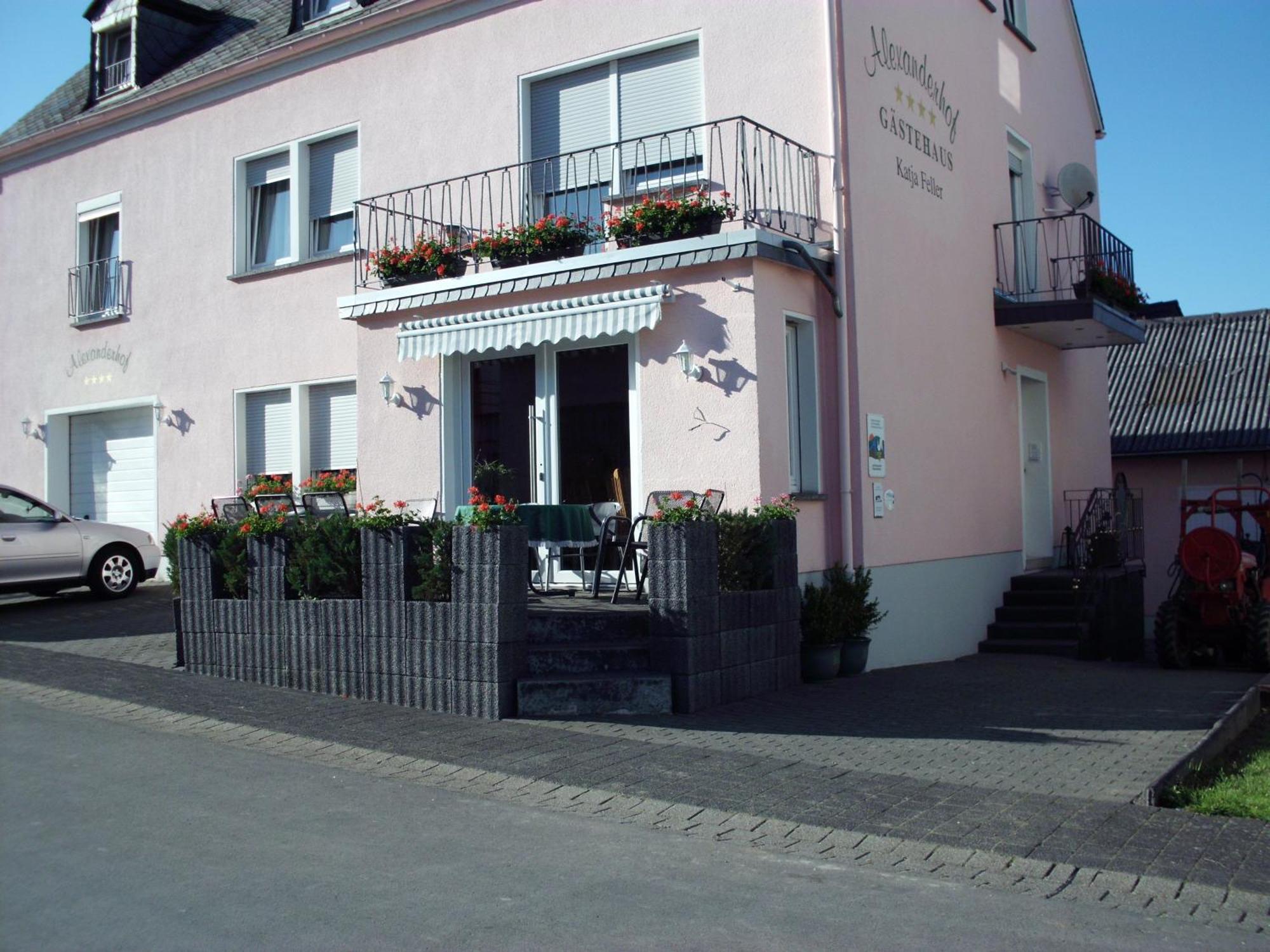 Gaestehaus Alexanderhof Leiwen Esterno foto