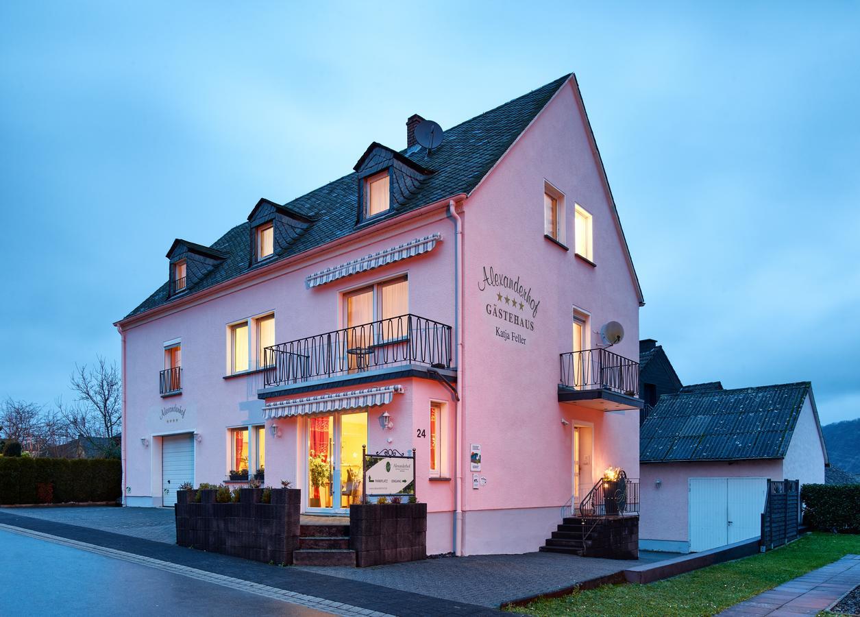 Gaestehaus Alexanderhof Leiwen Esterno foto